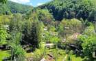 Teren si casa de vanzare - 1
