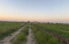 Ideal Investitie - Str Ctin Brancoveanu, zona noua, intravilan in noul - 3