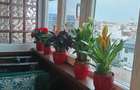 Vand apartament doua camere in bloc BI2 - 2