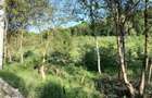 Livada + padure + teren extravilan, 14.400 mp, zona Gemenea-Bratulesti - 2