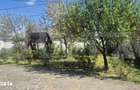 Casa 3 dormitoare de vanzare, 236 mp, teren 525 mp, Semicentral - 15