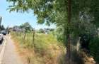 Teren intravilan 820 mp Pitesti Trivale Aleea Florian Becescu - 5