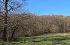 Proprietar vand 2 hectare teren extravilan - 4