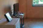 Vand casa langa Deva sau schimb cu apartament - 2