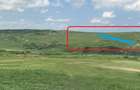 Teren extravilan in Feiurdeni cu acces din Campenesti, 11600 mp - 3