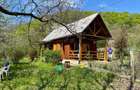 Valea-Lunga Cricov - Dambovita - 2