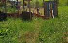 Vand casa + gradina! - 2