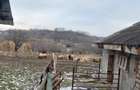 Vand teren intravilan - 3