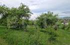 Teren extravilan de vanzare 1000 mp, livada, ideal pent - 1