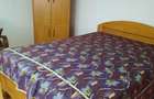 Inchiriere apartament 2 camere in casa (demisol) zona AFI, complet mobilat - 6