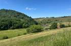 RECO, teren intravilan, loc superb de cabana, Calatea-Bihor