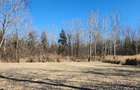 Teren 1667 MP | Zona Strand | Bulevard Dem Radulescu - 4