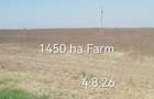Agricuture farm 1450 ha - 3