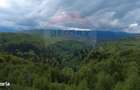 Teren 38,704mp Sirnea | 2.000 mp Intravilan | 36,704 Extravilan - 7