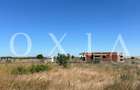 OX662 Casa pe un singur nivel, in Pischia