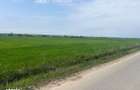 Teren de 5600 mp, în Ciocănești - 2