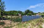 Vand teren intravilan in Calafat - 2500 mp - 3