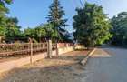 Comision0%-AlmanImobiliare-OazaDeCurte-1100Mp-CasaRenovabila-Mangalia - 11