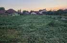 Vand teren intravilan - 5