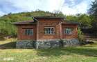 Teren, padure si casa in Dumbrava de Jos, jud. Hunedoara - 14