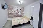 Vila cu 4 apartamente si o mansarda Tineretului - 20