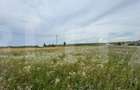 Loturi teren 700 mp Rachiti, Botosani - 1