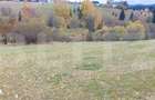 Teren intravilan, 4000 mp, zona Panaci - Vatra Dornei