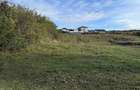 Teren Colonia Valea Fanatelor - 6