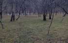 Vand teren intravilan 2000 mp - 7