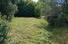 Casa Moreni 270 mp jud. Neamt - 4