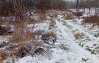 Vand teren intravilan in loc.beleti-negresti,jud.arges - 2