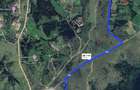 Teren Dealu Negru de vanzare, la 3 km de Belis - 3