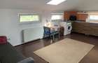 Apartament cu 2 camere semidecomandat în Tătărăști