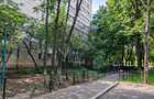 Apartament 3 camere, bloc 4 etaje, Berceni/str Dorohoi, curat - 11