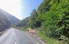 Vanzare teren padure loc. ?ugag - Jud. Alba - 2