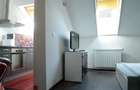 Apartament 1 camera ultracentral, Centrul istoric malul Crisului 280 e