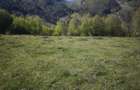 Vand teren pe Transapuseana in Ponor - 1