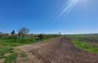 Teren pentru dezvoltare rezidentiala langa padure, in Pischia - 4