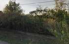 Casa si teren Pitulati, jud. Braila - ID R1965250 - 1