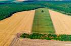 Teren agricol de vanzare- 4,66 Ha - 6