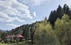 Teren Tarcau intravilan - 5