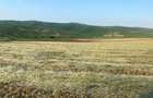 Teren de vanzare intre Cojocna si Iuriu de Campie