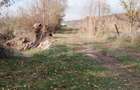 Teren intravilan 21/mp suprafata 3360 mp - 2