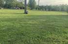 Casă cu Teren 4000 Mp în Dămieni - 1