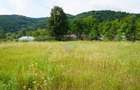 Teren 2785 mp, Central Langa Gradina Morii - 12