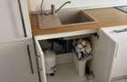 Apartament 2 camere, Cranga?i, Orhideea, Belvedere, *la cheie* - 4