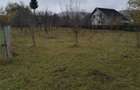 TEREN in Cornu de jos. - 9