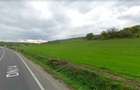 Teren extravilan 42000MP Seica Mare - Sibiu - 2
