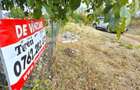 Teren intravilan Manastirea, Buftea, 500mp sau 877mp, 0% comision - 13