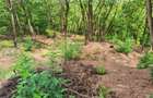 Teren intravilan 2440 m2 - 2